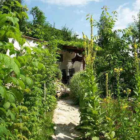 Steghaus