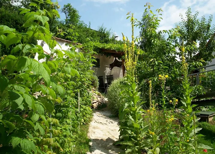 Steghaus